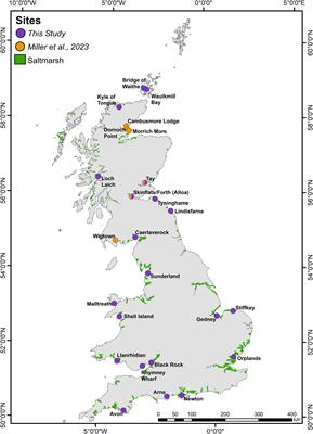 Organic carbon stocks of Great British saltmarshes